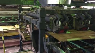 Линия рубки и укладки шпона ЛРУШ 13-17, 2011 года выпуска