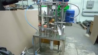 Машина для удаления сердцевины из яблок и нарезки их на кольца МСК-222