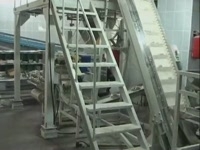 Фасовка и упаковка пряников, мультиголовка Нотис