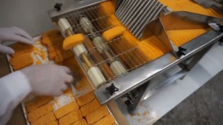 ЛИНИИ ОБОРУДОВАНИЯ ПРОИЗВОДСТВА ПАНИРОВОЧНЫХ КОТЛЕТ, ТЕФТЕЛЕЙ