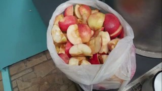 Измельчение яблок ИУ-313