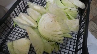 Измельчитель универсальный ИУ-313