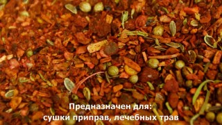 Шкаф сушильный (камера сушильная) КСУ-131