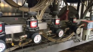 Пастеризатор, теплообменники, деаэратор, гомогенизатор, СИП-мойка