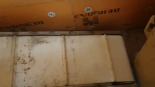 WhatsApp Video 2018 09 03 at 17 49 11