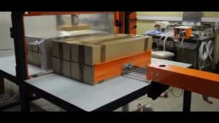 Термоупаковочная машина ТМ-1ПМ1