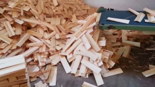 Linija za izradu drvenih gajbica - Mašina br.1 - Giljotina Corali Gazzella M54