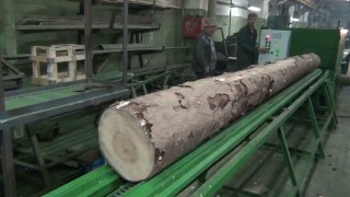 Брусующий (брусовальный) двухвальный 12-ти пильный многопильный дисковый станок СБ2В-340 высота пропила 340 мм