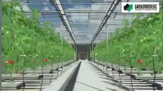 Промышленные теплицы