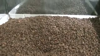 Автомат Макиз У-03-11. Фасовка кофе в зернах