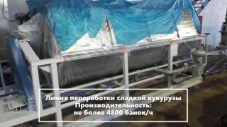 Технологическая линия по производству консервированной сладкой кукурузы и горшка, производства США, с последующей устано