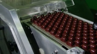 Формовочная машина для фруктовых и пластичных масс типа RFM