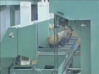 Ленточные вертикальные пилорамы  Tandem Snt  1600