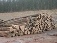 Окорочный станок Segem ERP 100/5