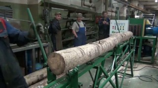 Станок для переработки тонкомера СПТ-28048