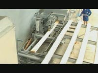 Многопильный одновальный станок S 900 PAUL