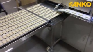 Производство пряников с начинкой на пельменном аппарате HLT 700XL и приставке EA-100R