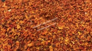 МЕЛЬНИЦА УЛЬТРАТОНКОГО ПОМОЛА СЕРИИ WFJ Измельчитель Дробилка Все Сферы Применения14