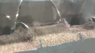 Серия: WLDH Ленточный Смеситель Миксер Мешалка