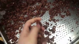 Сушильный Шкаф CT-C Для овощей, фруктов, орехов итд