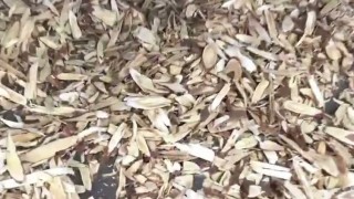 Сушильный Шкаф CT-C Для овощей, фруктов, орехов итд46