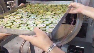 FD Холодная Вакуумная Сушилка Сублимация Продуктов не Меняют форму