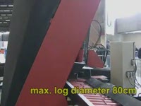 Двухдисковый автоматический лесопильный комплекс D9