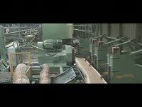 Высокопроизводительная вертикальная ленточная пилорама XBE