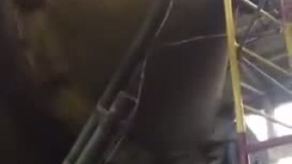 Горячештамповочный пресс ПККШ 4000 (К8546)