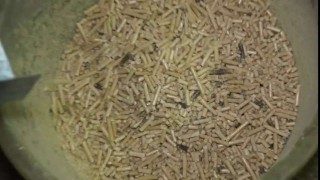 Гранулятор для опилок с кольцевой матрицей ГУ-22