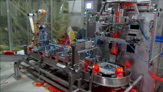 1-CVP15V Vertical Packaging Machine With Caroussel System 1