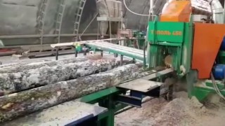 Двухвальный  бревнопильный станок Тополь-450М
