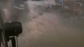 Дробилка DGP 630