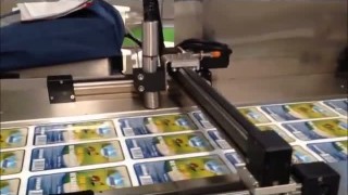 Thermoform Vacuum Packaging Machine For White Cheese with Brine Water