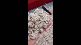 CRT A160 GRANÜL EXTRUDER - GRANULATING EXTRUDER