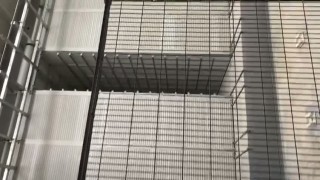 Вибропресс ERMAK MACHINE (Расположение) производство тротуарной плитки, бордюров Виталий +79689048222