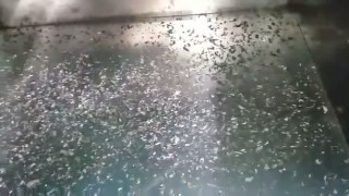 Дробилка TOPSTAR для твердых отходов пластика