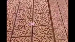 Линия для производства сэндвич панелей