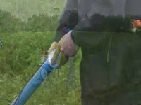 Инструкция по сборке и запуску мотоблока НЕВА