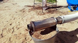 Дробление зерна пшеницы