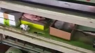 Станок для изготовления прямолинейного фацета Bavelloni TB-64 в хорошем состоянии