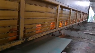 Ножницы гильотинные СТД-9 АН 6,0-2500 мм., 2007 г/в