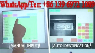 Двусторонний покрасочный станок для дверей SPD2500D