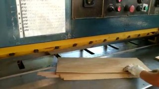 Ножницы  для резки  шпона НГ18-1