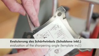 Станок точильно-шлифовальный NTS250