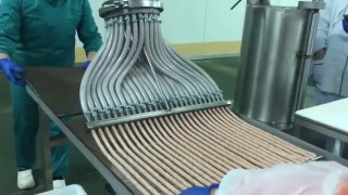 Hydroshpriz с порционером на 25 форсунок для производства мясных снеков Кабанос