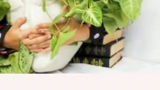 Продам Формы под бетон