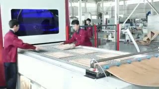 TM3000P-B Позитивна та негативна мембранна пресова машина Автоматична машина штифтової вакуумної преси