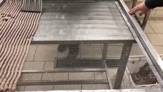 Толстолобик, Карп, Плотва - снеки на HydroShpriz RK50U