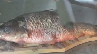 Рыбочистка РЧ-30М